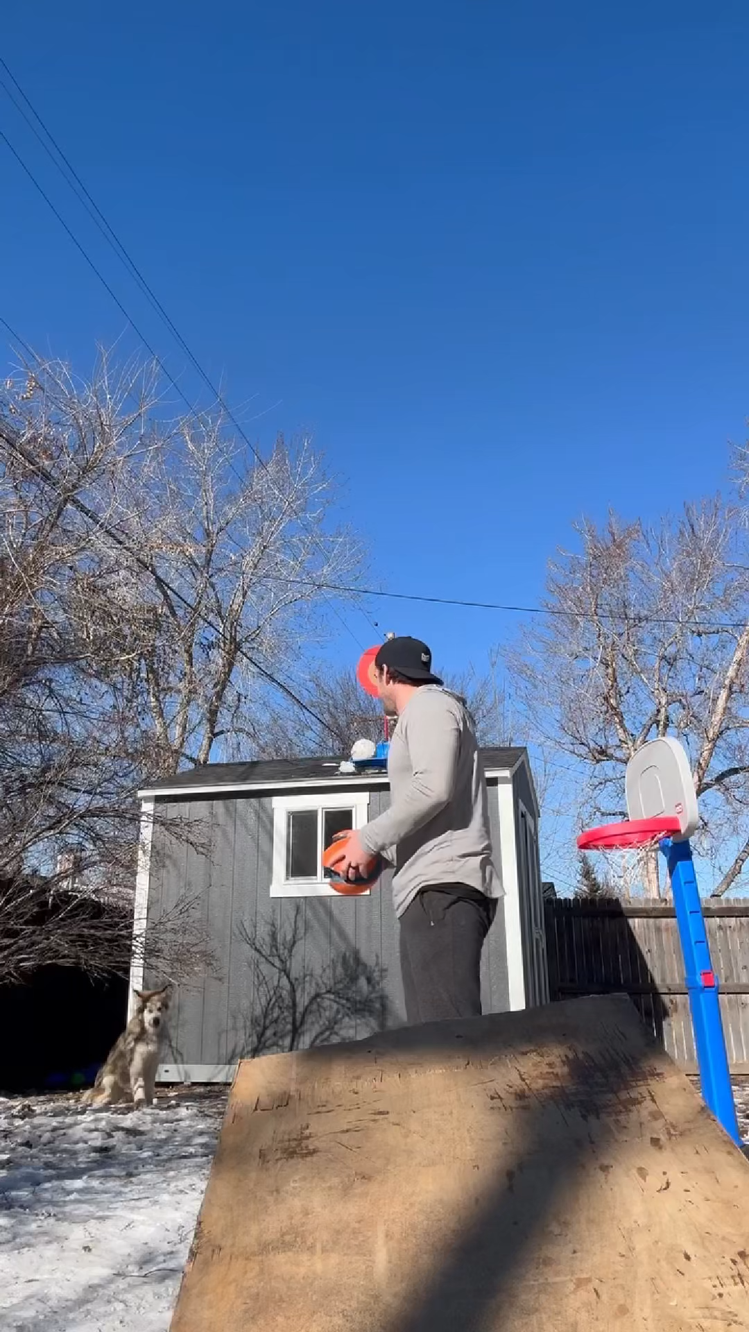 AIR BUD FAIL TRANSITIONAL VIRAL VIDEO