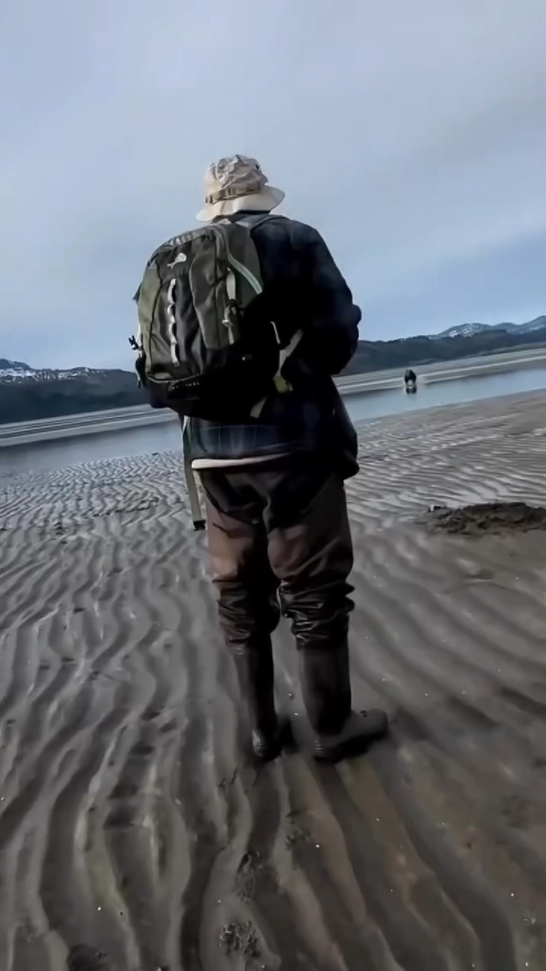 BEAR ATTACK TRANSITIONAL VIRAL VIDEO