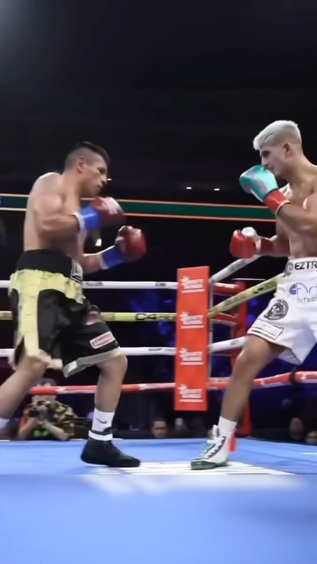 BOXING KO TRANSITIONAL VIRAL VIDEO