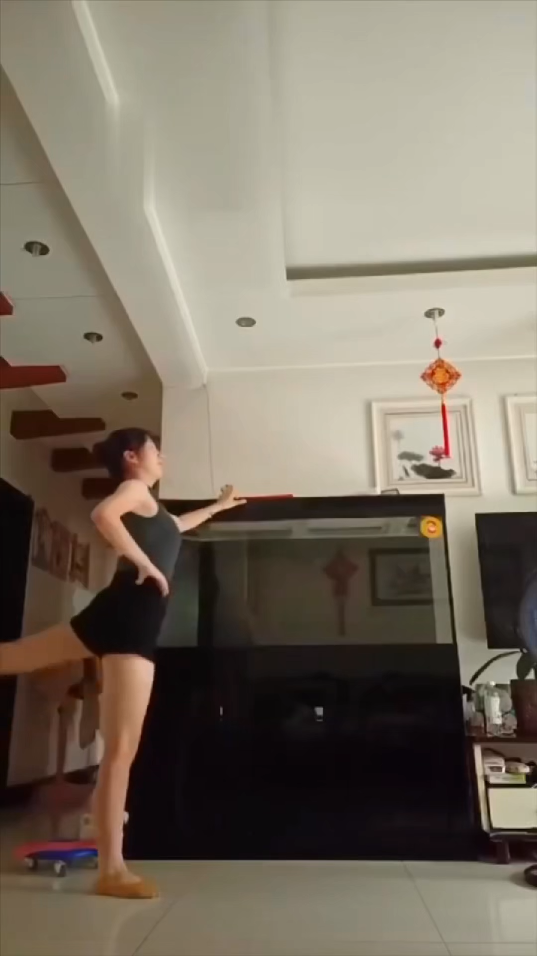 DOG KICK TRANSITIONAL VIRAL VIDEO