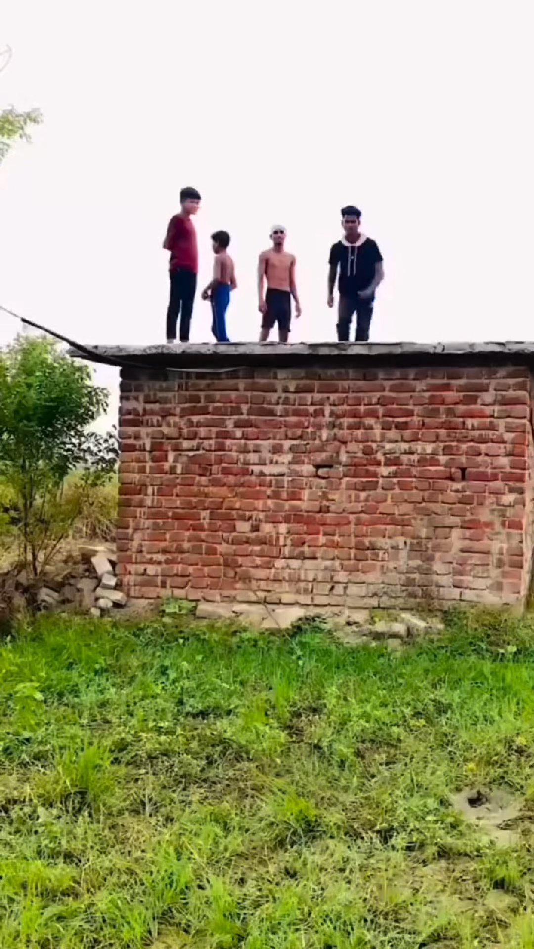 FACE PLANT TRANSITIONAL VIRAL VIDEO