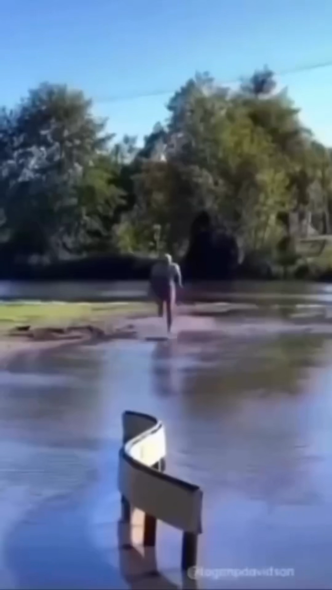 GOODBYE RIBS I AM DEAD