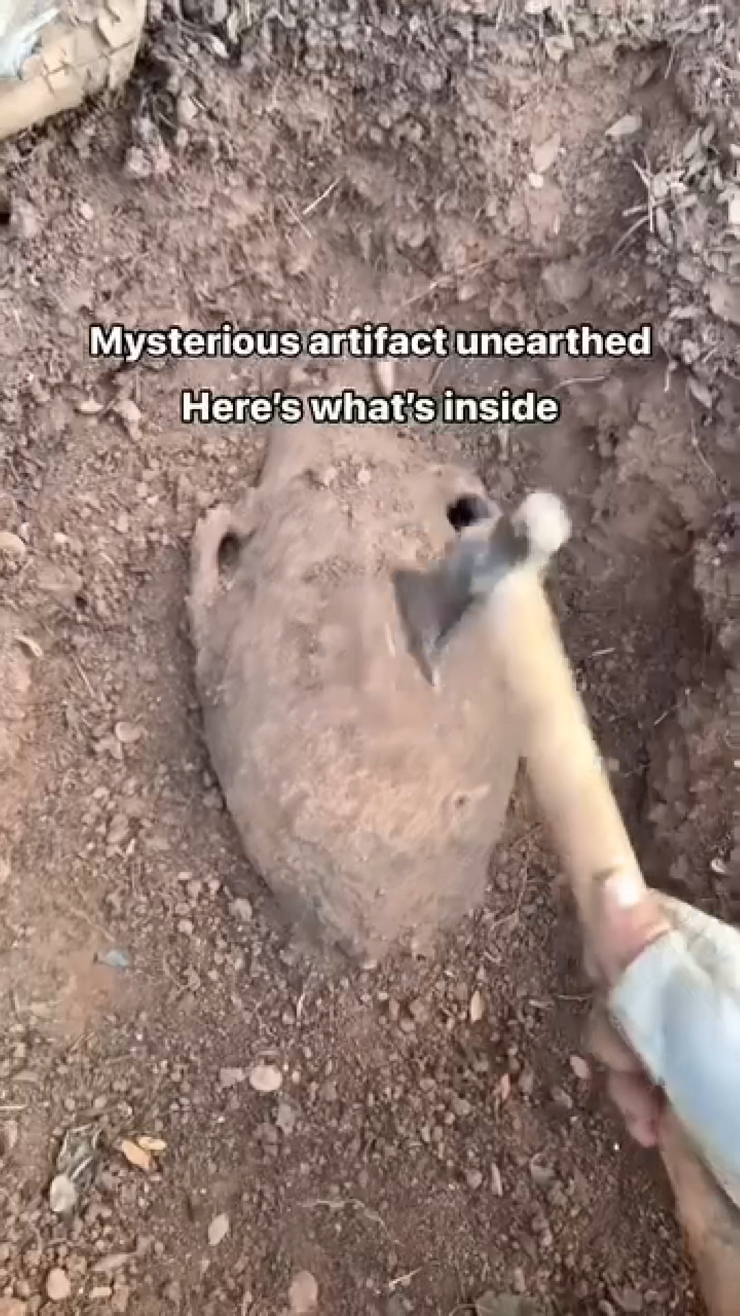 OPEN FOSSIL TRANSITIONAL VIRAL VIDEO