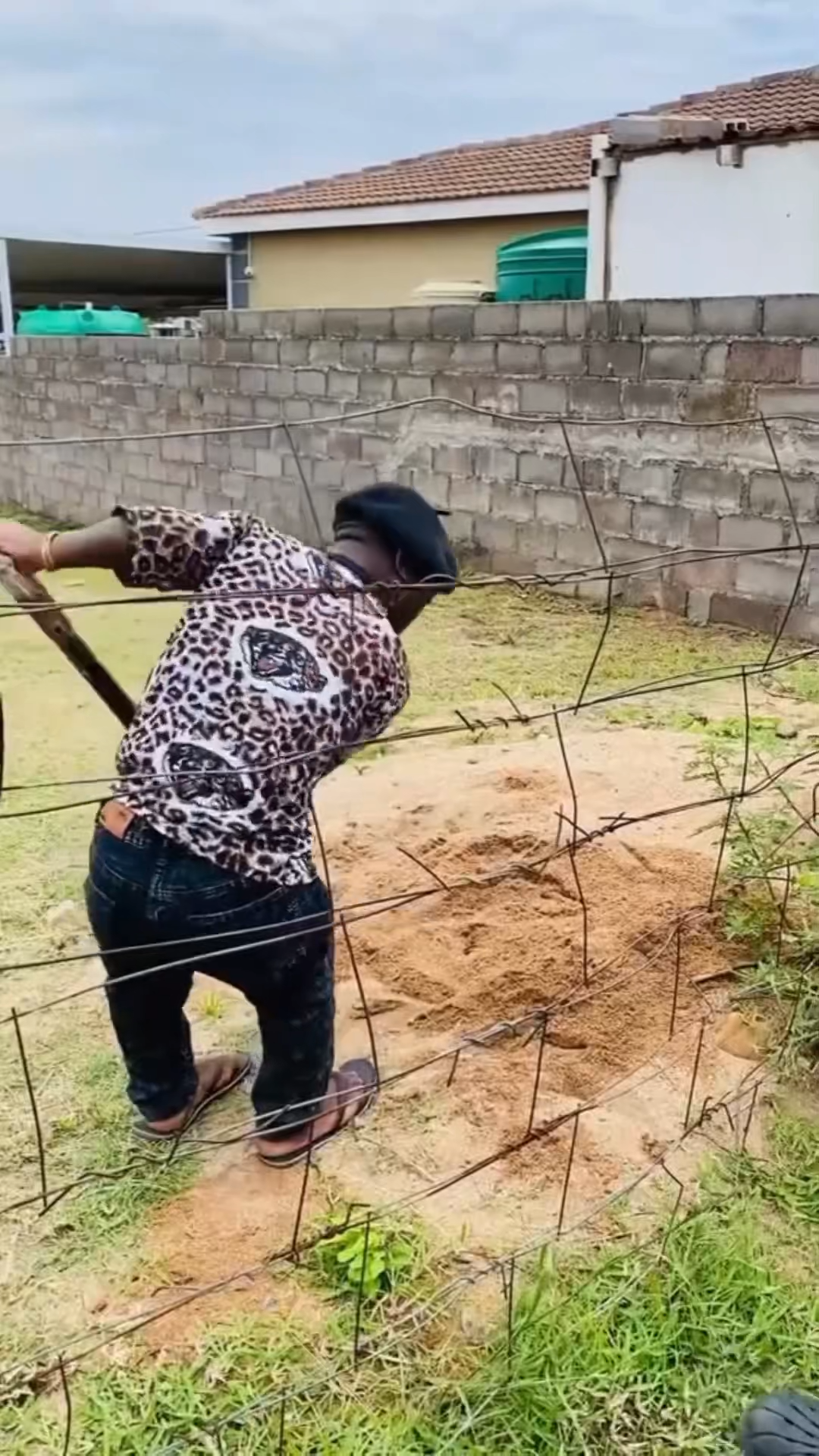 PASS SHOVEL TRANSITIONAL VIRAL VIDEO