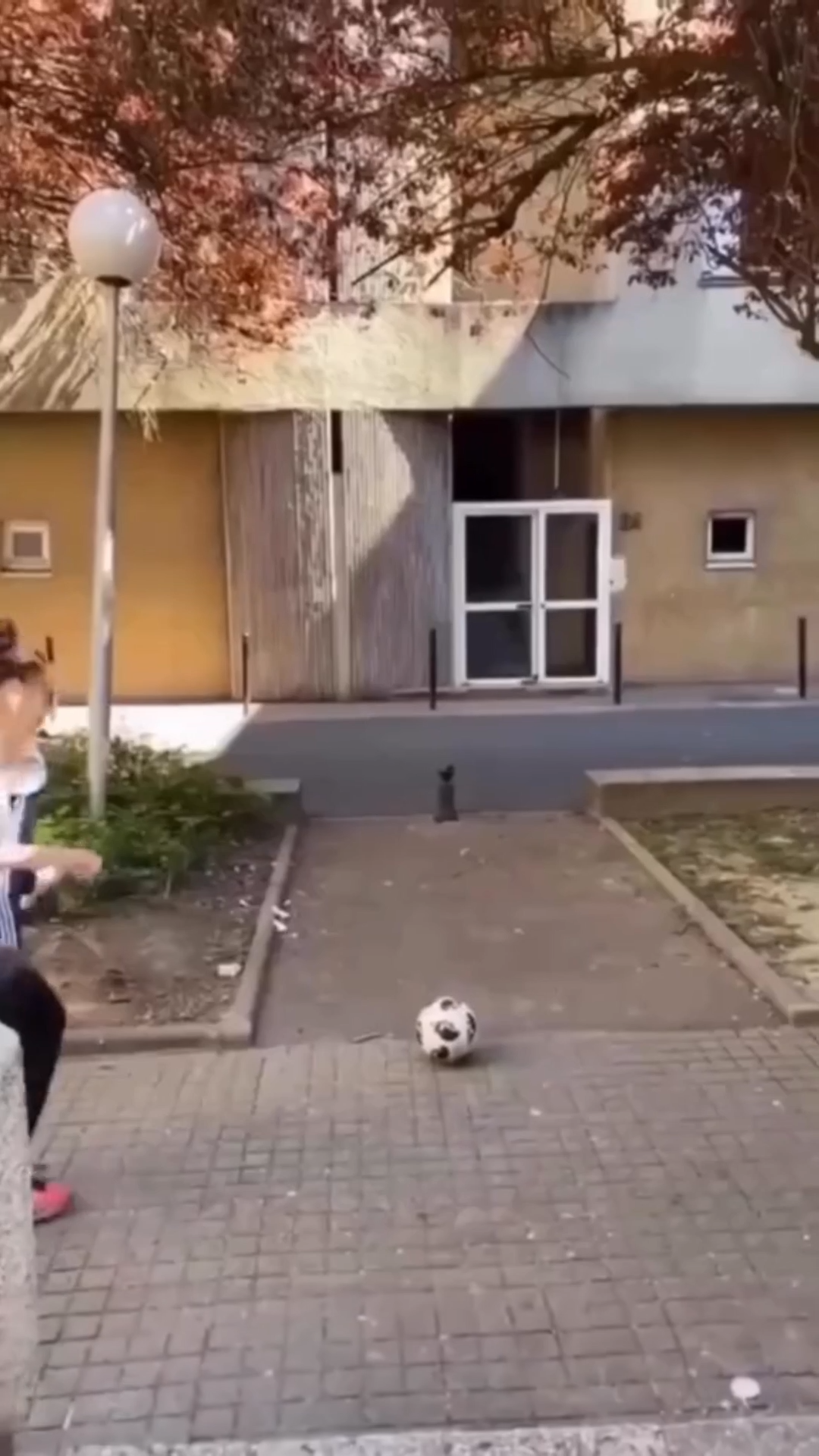 SOCCER BALL WINDOW TRANSITIONAL VIRAL VIDEO