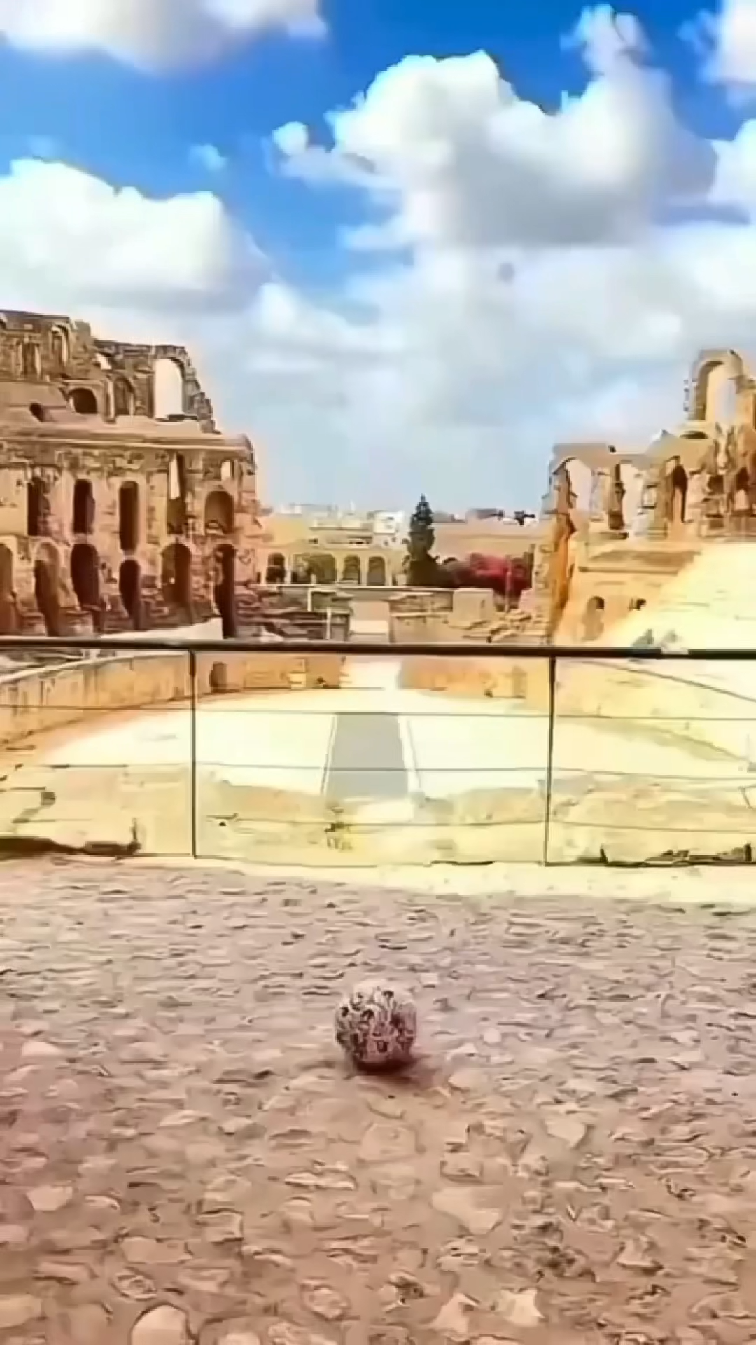 SOCCER JUGGLE TRANSITIONAL VIRAL VIDEO