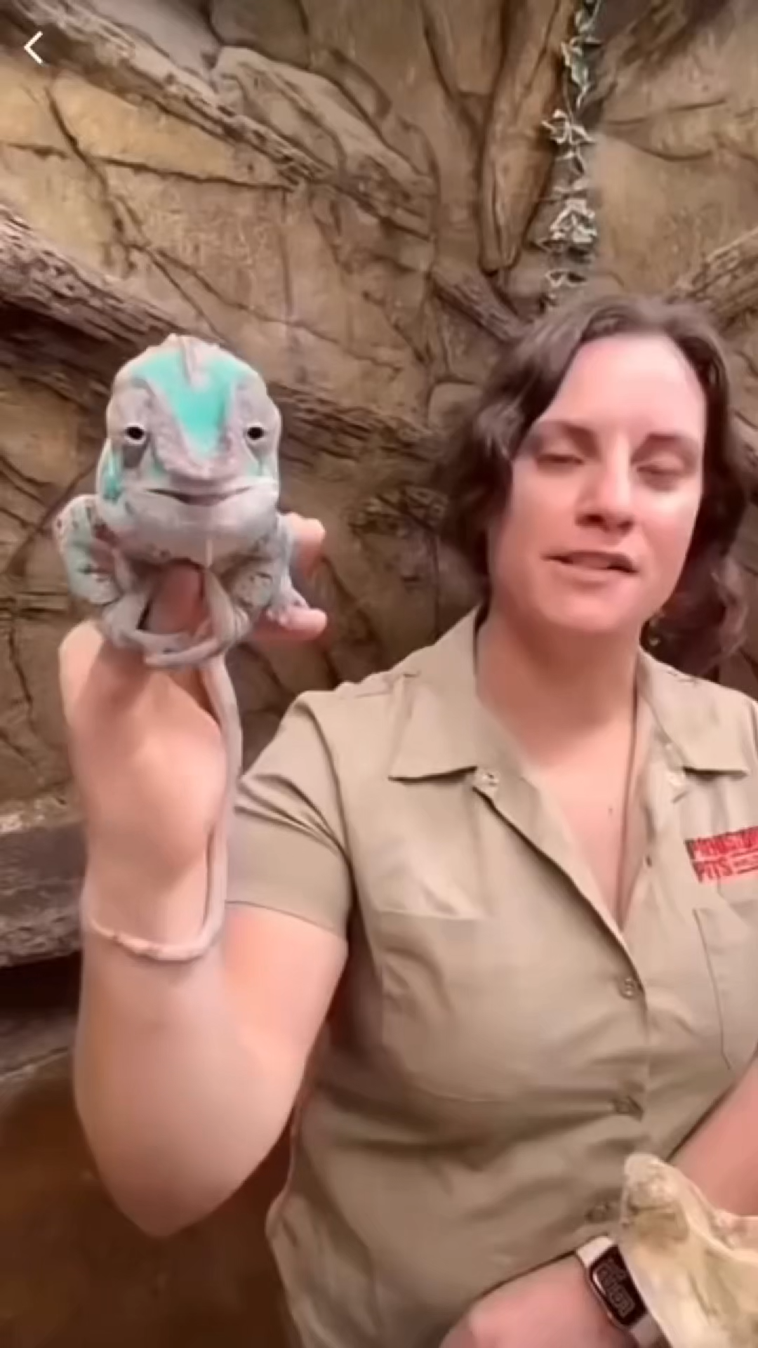 TONGUE PUNCH TRANSITIONAL VIRAL VIDEO