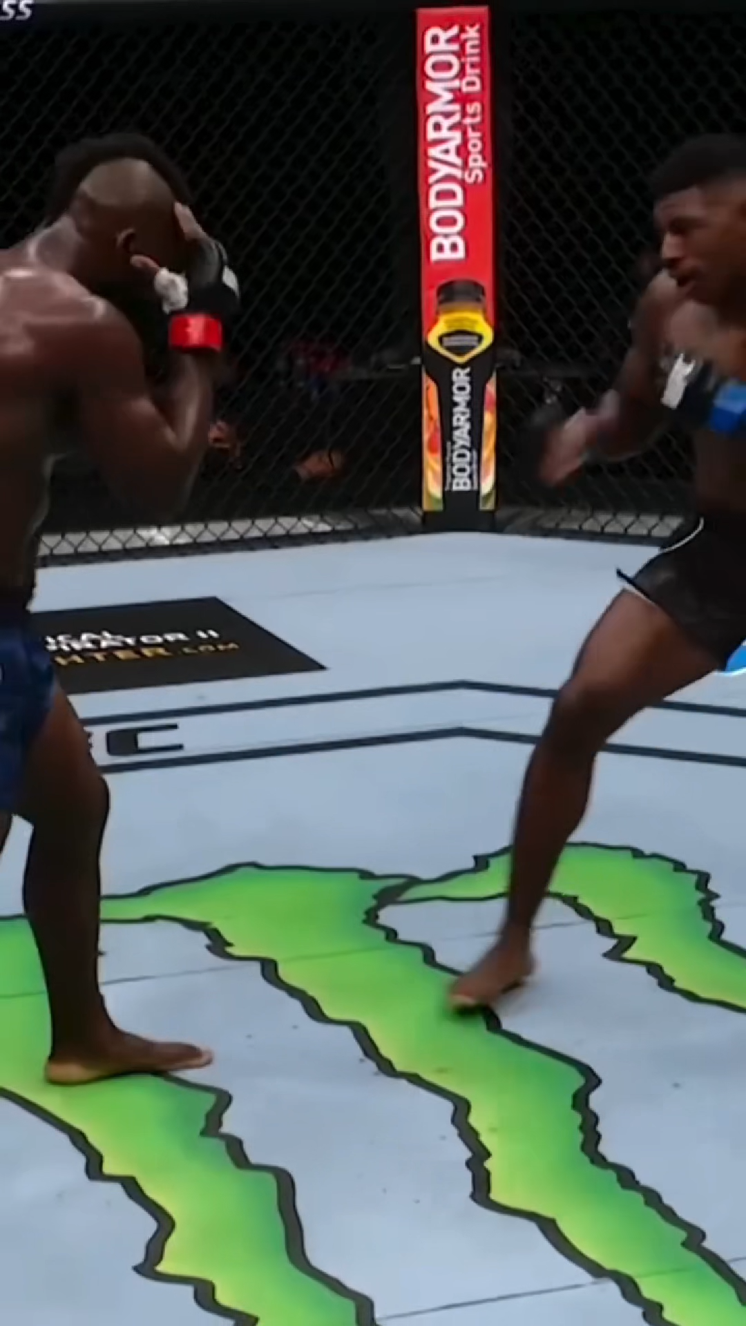 UFC KNOCKOUT TRANSITIONAL VIRAL VIDEO