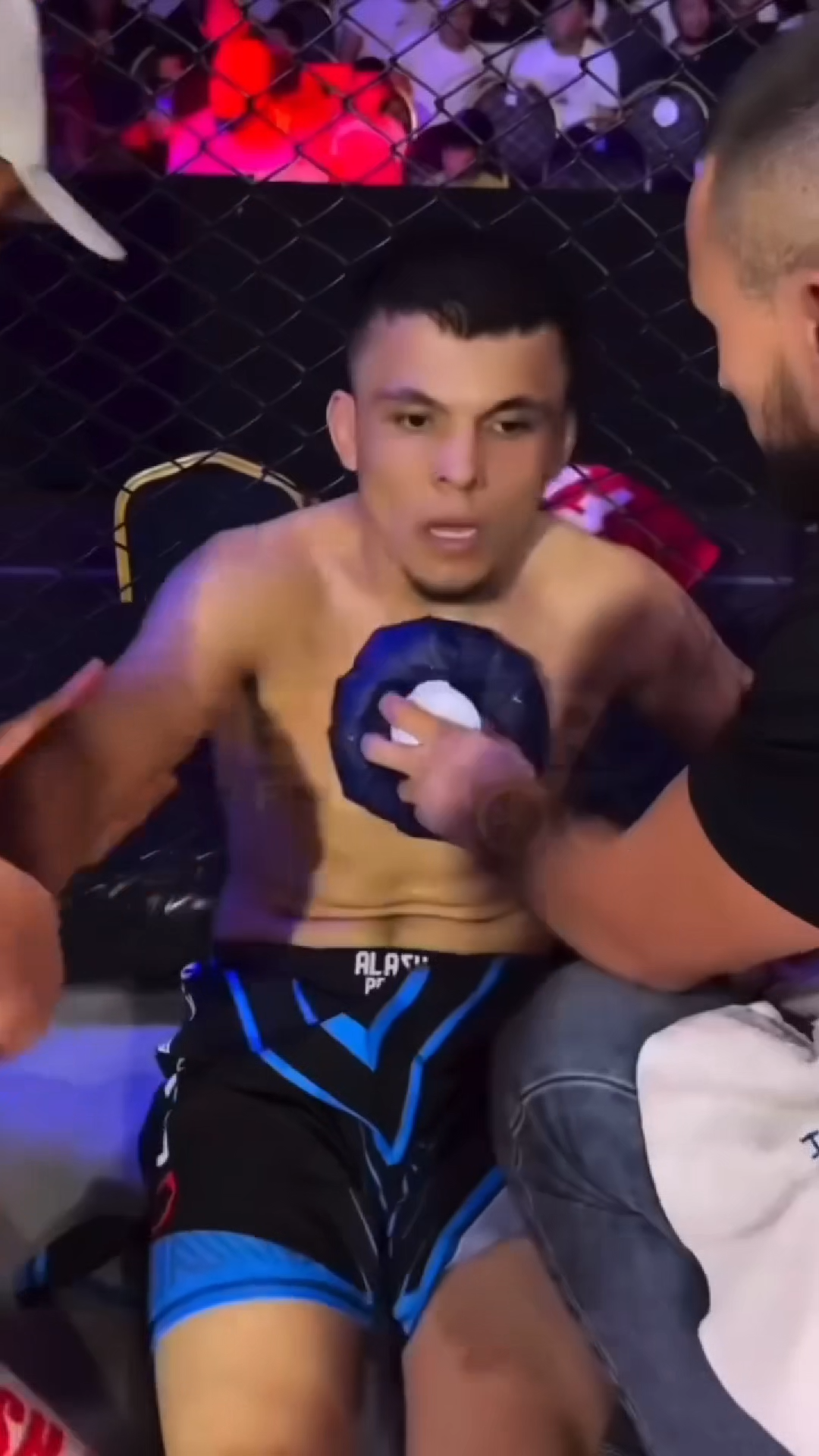 UFC SLAP TRANSITIONAL VIRAL VIDEO